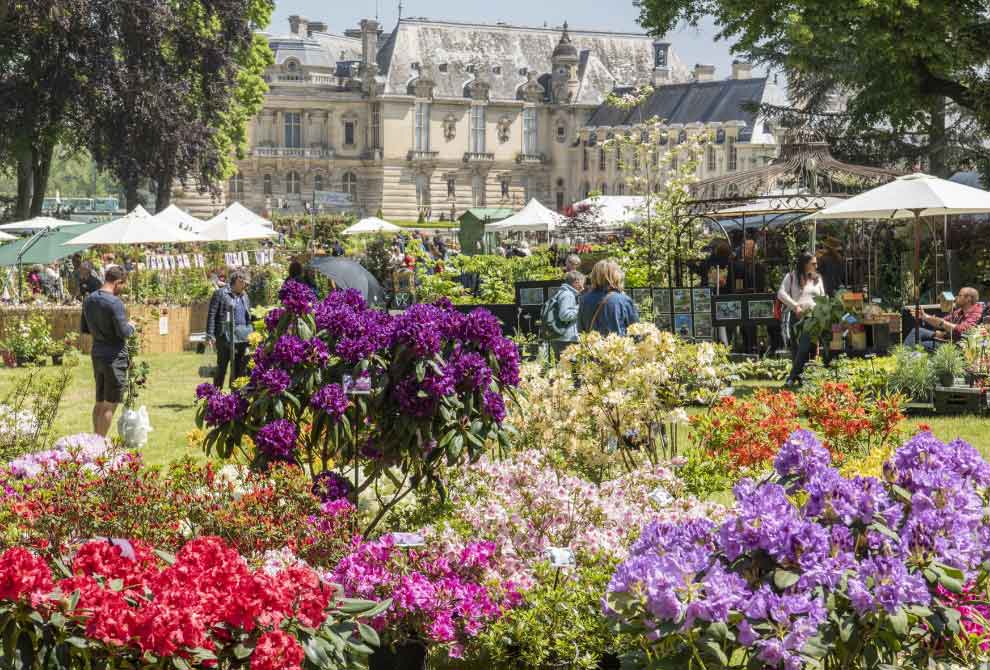 trouve-plante-fete-des-plantes-chantilly